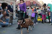 Mystic-Krewe-of-Barkus-2013-1506