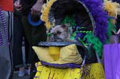 Mystic-Krewe-of-Barkus-2013-1507