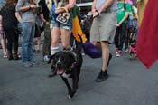 Mystic-Krewe-of-Barkus-2013-1512