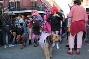 Mystic-Krewe-of-Barkus-2013-1515