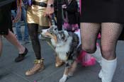 Mystic-Krewe-of-Barkus-2013-1516