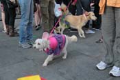 Mystic-Krewe-of-Barkus-2013-1518