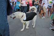 Mystic-Krewe-of-Barkus-2013-1519