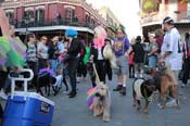 Mystic-Krewe-of-Barkus-2013-1522