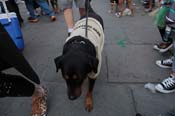 Mystic-Krewe-of-Barkus-2013-1523