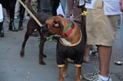 Mystic-Krewe-of-Barkus-2013-1527