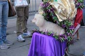 Mystic-Krewe-of-Barkus-2013-1530