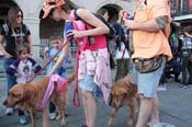 Mystic-Krewe-of-Barkus-2013-1531