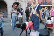 Mystic-Krewe-of-Barkus-2013-1532