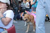 Mystic-Krewe-of-Barkus-2013-1538