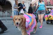 Mystic-Krewe-of-Barkus-2013-1539