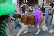 Mystic-Krewe-of-Barkus-2013-1548