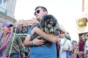 Mystic-Krewe-of-Barkus-2013-1551