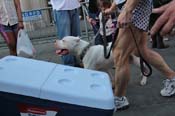 Mystic-Krewe-of-Barkus-2013-1557