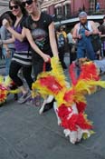 Mystic-Krewe-of-Barkus-2013-1568