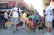 Mystic-Krewe-of-Barkus-2013-1582