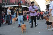 Mystic-Krewe-of-Barkus-2013-1586