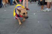 Mystic-Krewe-of-Barkus-2013-1589