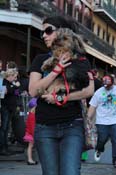 Mystic-Krewe-of-Barkus-2013-1591