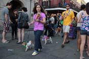 Mystic-Krewe-of-Barkus-2013-1592