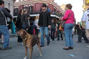 Mystic-Krewe-of-Barkus-2013-1602