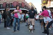 Mystic-Krewe-of-Barkus-2013-1608