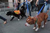 Mystic-Krewe-of-Barkus-2013-1616