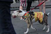 Mystic-Krewe-of-Barkus-2013-1619