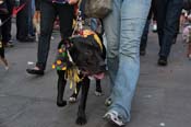 Mystic-Krewe-of-Barkus-2013-1620