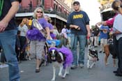 Mystic-Krewe-of-Barkus-2013-1625