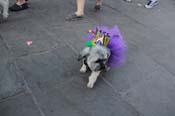 Mystic-Krewe-of-Barkus-2013-1627