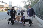 Mystic-Krewe-of-Barkus-2013-1649