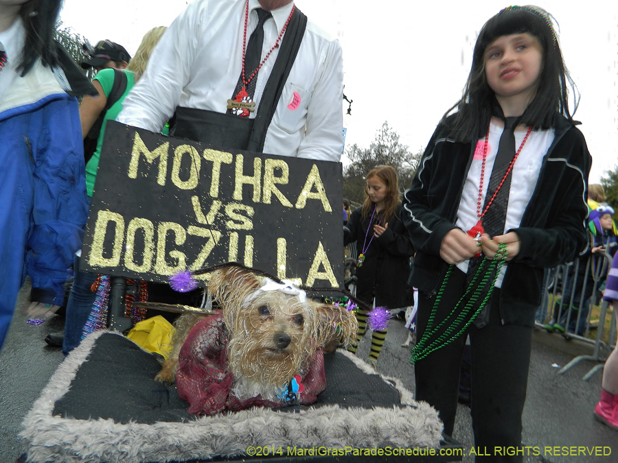 2014-Krewe-of-Barkus-11150