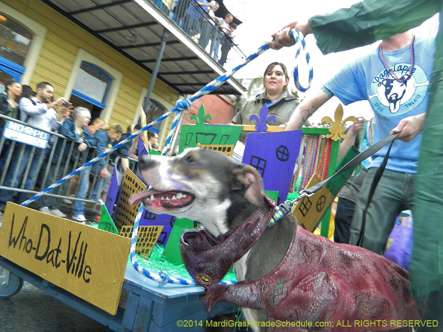 2014-Krewe-of-Barkus-11153