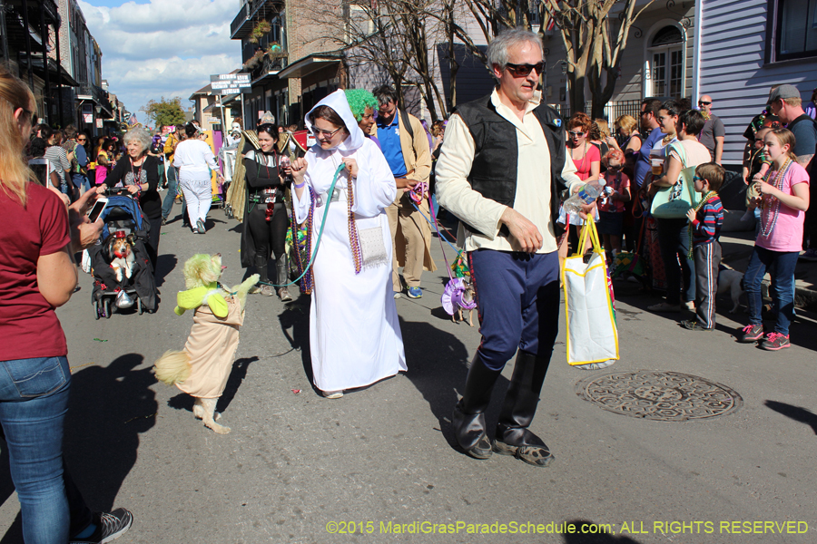 Mystic-Krewe-of-Barkus-2015-13004