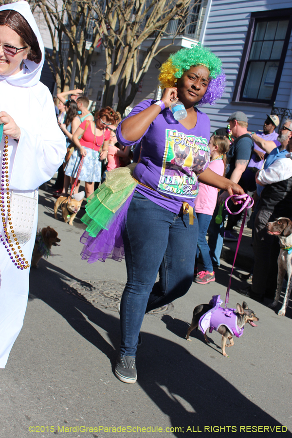 Mystic-Krewe-of-Barkus-2015-13006