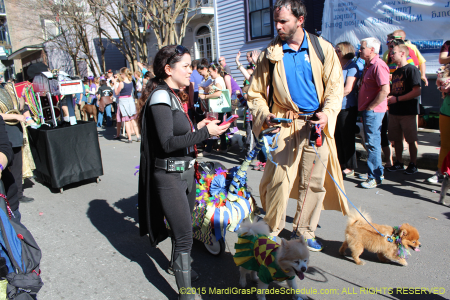 Mystic-Krewe-of-Barkus-2015-13007