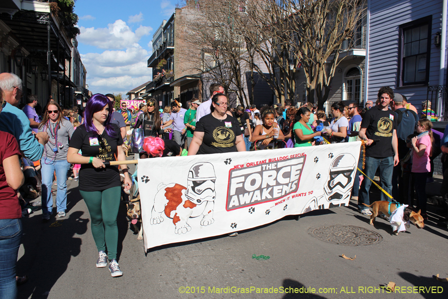 Mystic-Krewe-of-Barkus-2015-13017