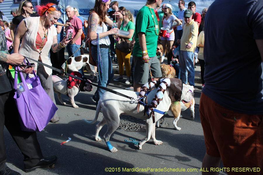 Mystic-Krewe-of-Barkus-2015-13018