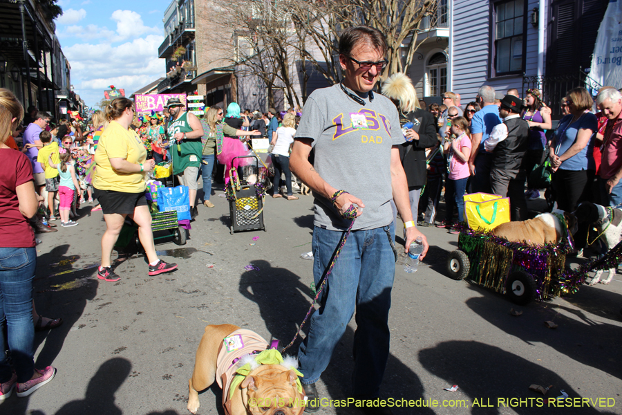 Mystic-Krewe-of-Barkus-2015-13019