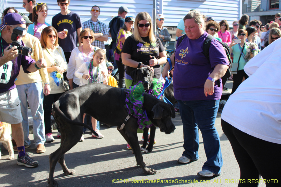 Mystic-Krewe-of-Barkus-2015-13021