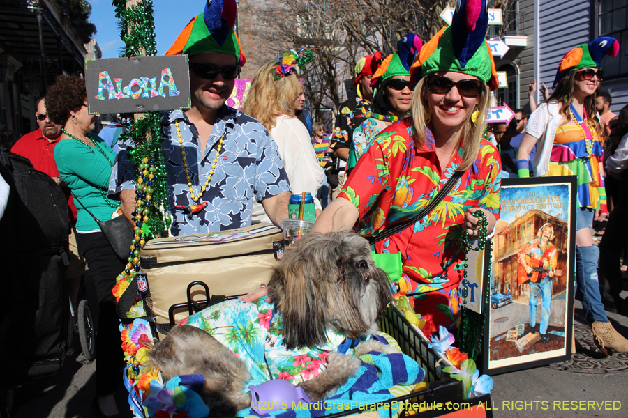 Mystic-Krewe-of-Barkus-2015-13027