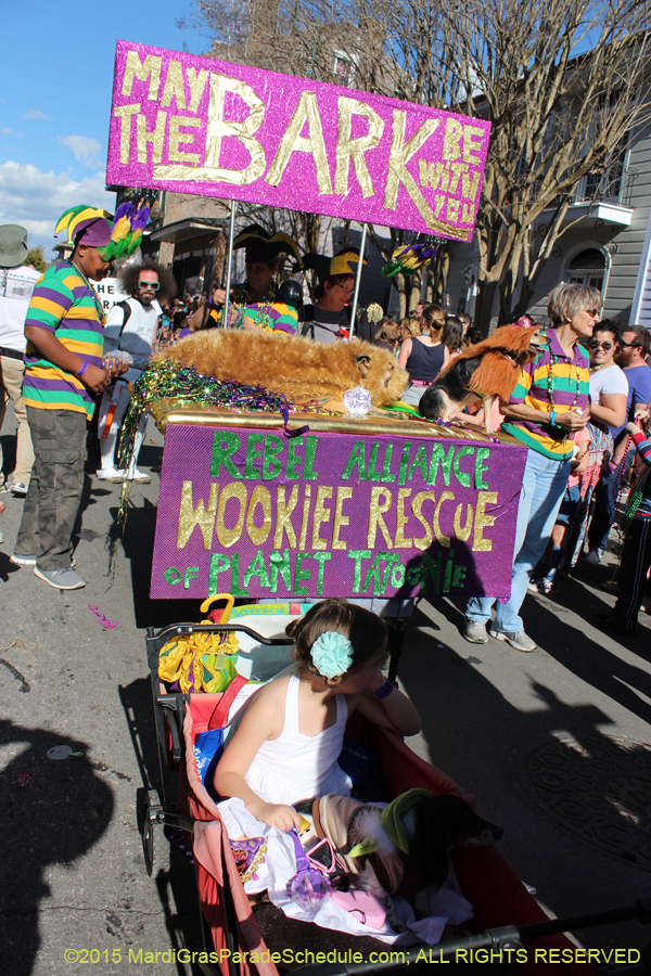 Mystic-Krewe-of-Barkus-2015-13030