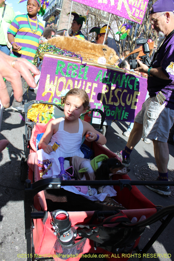 Mystic-Krewe-of-Barkus-2015-13031