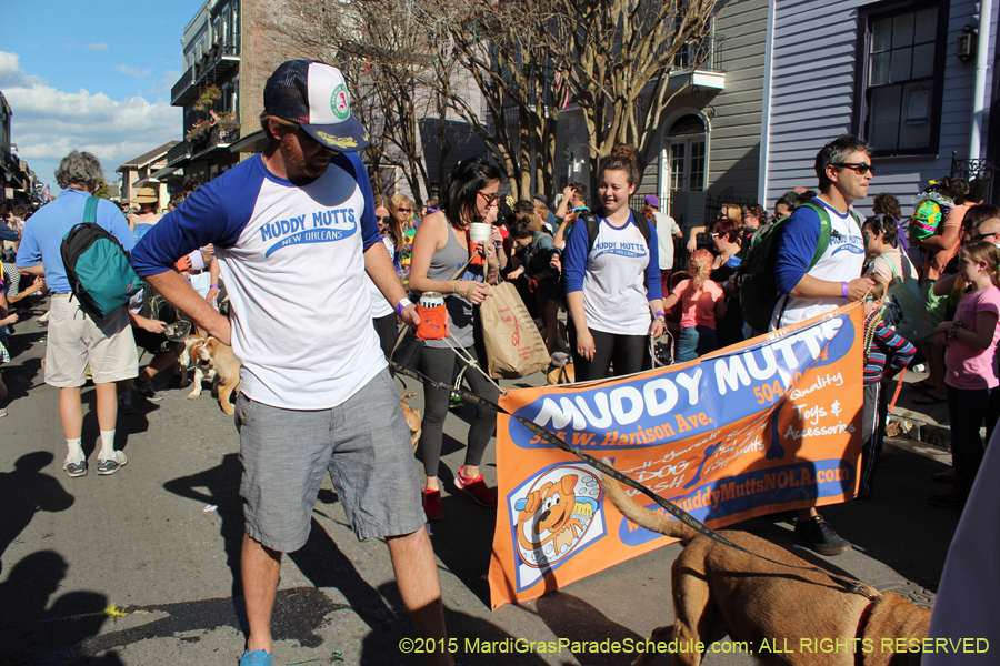 Mystic-Krewe-of-Barkus-2015-13036