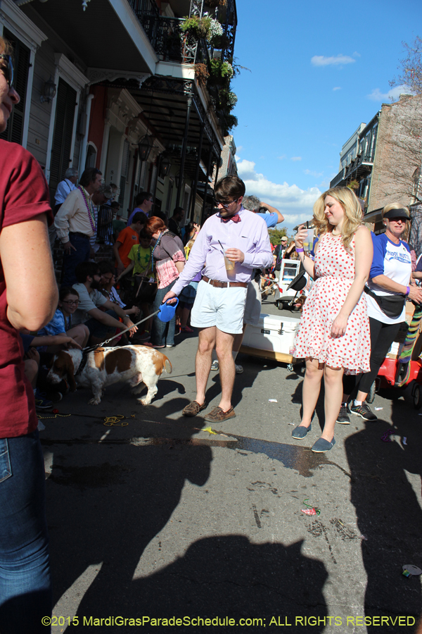 Mystic-Krewe-of-Barkus-2015-13037