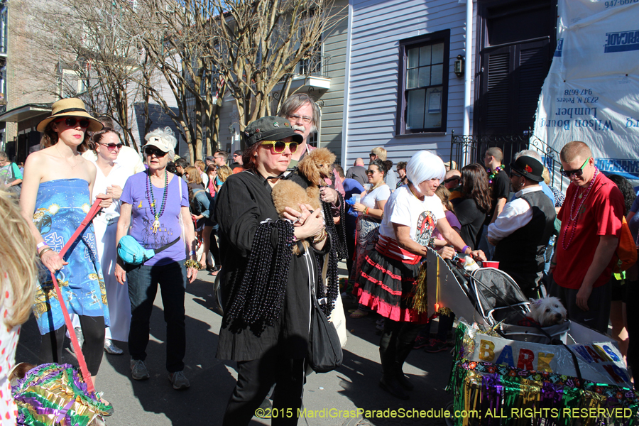 Mystic-Krewe-of-Barkus-2015-13038