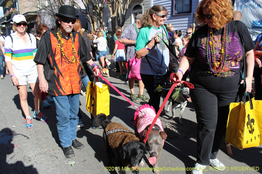 Mystic-Krewe-of-Barkus-2015-13041