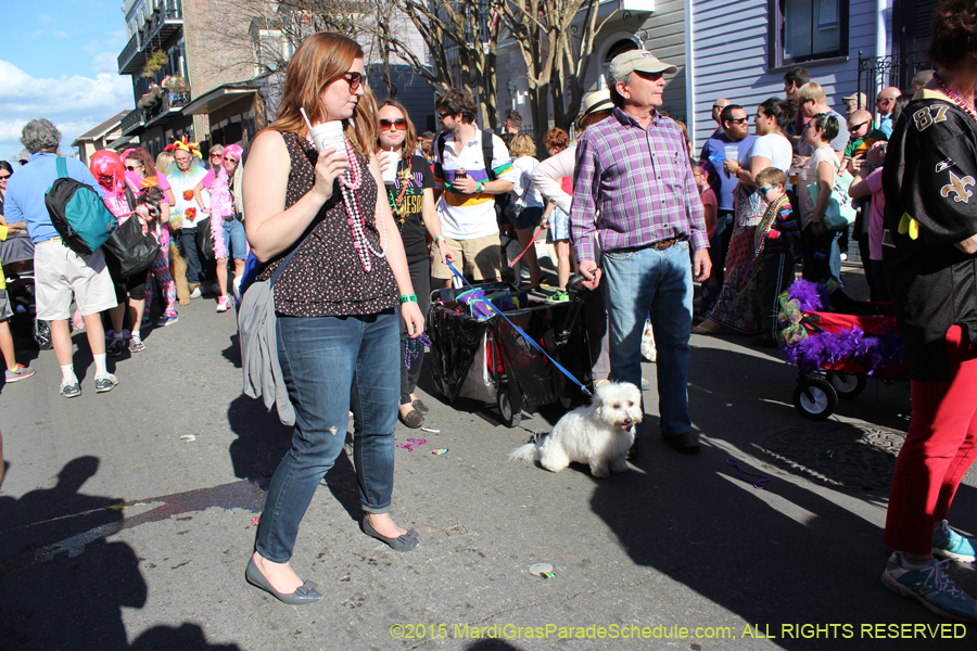 Mystic-Krewe-of-Barkus-2015-13042