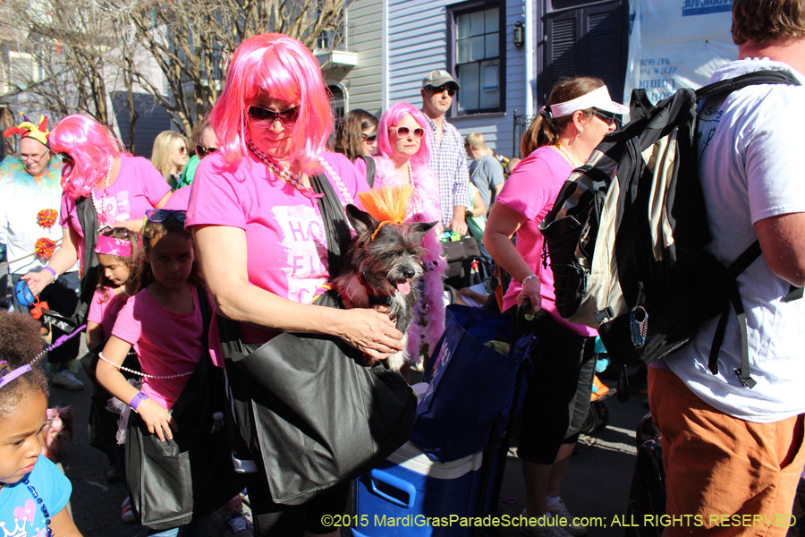 Mystic-Krewe-of-Barkus-2015-13043